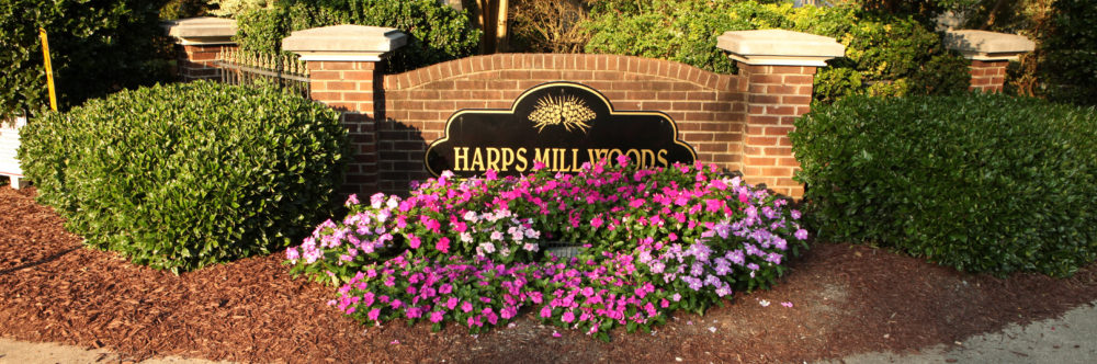 Harps Mill Woods 